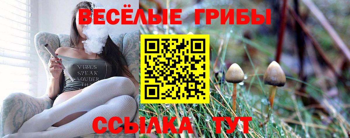 Галлюциногенные грибы Psilocybe  Вход с VPN  Пугачёв 